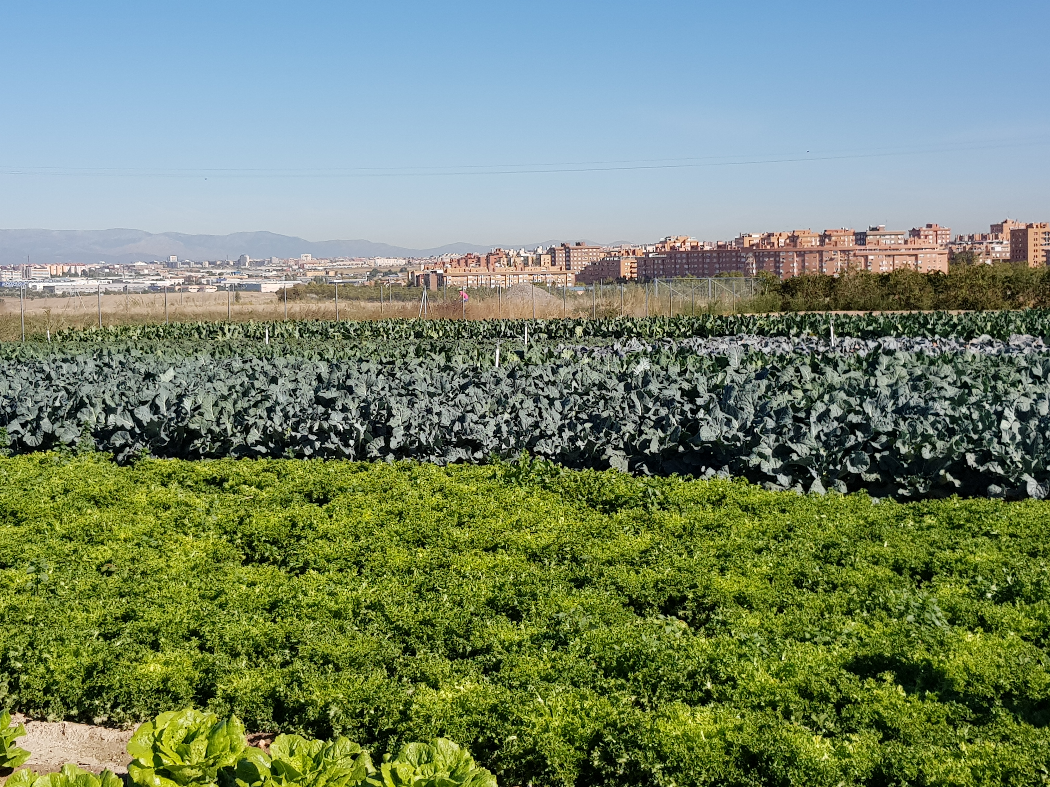 Parque Agrario de Fuenlabrada 