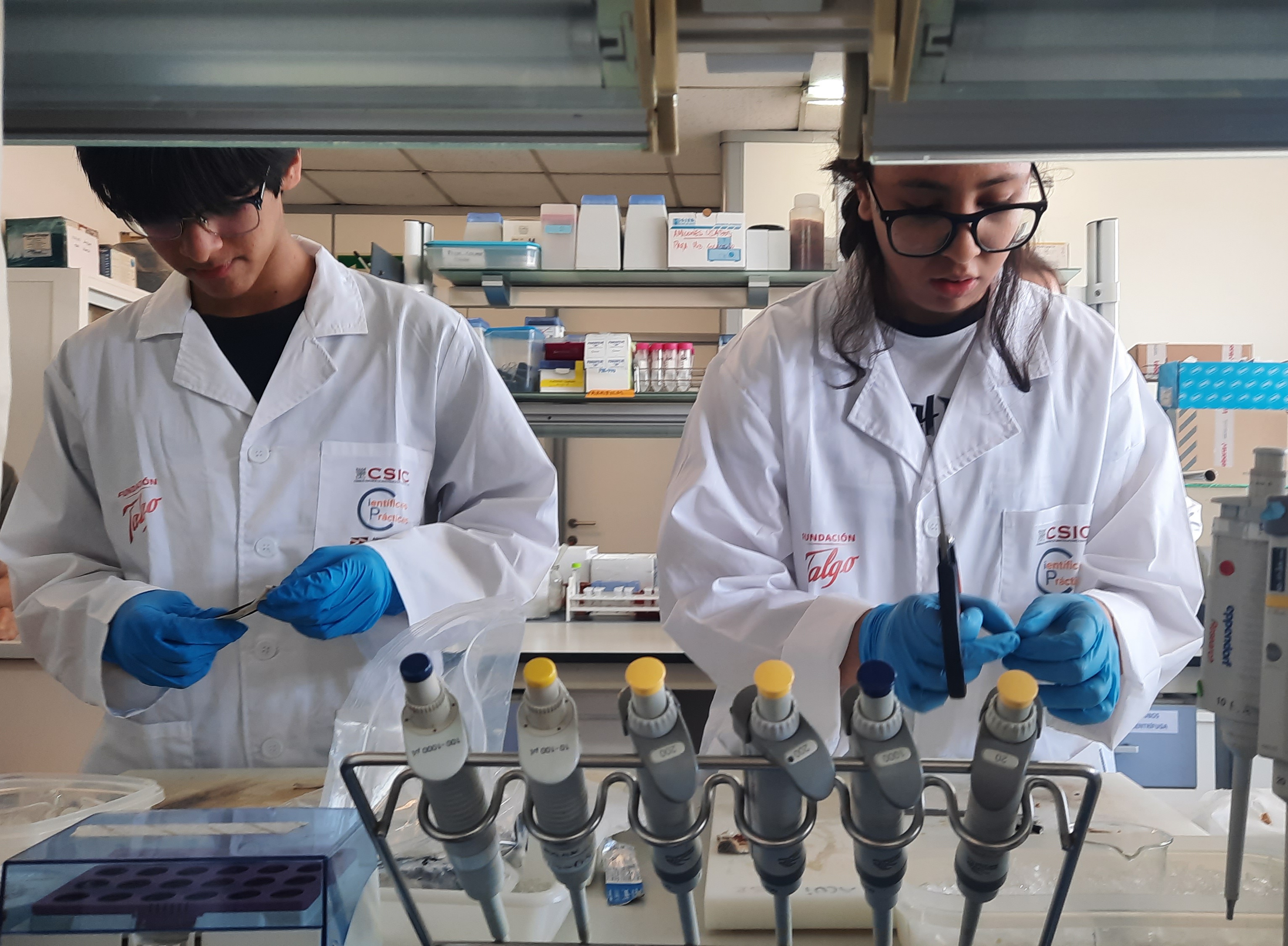 Científic@s en prácticas, el programa que acerca la ciencia al alumnado de zonas desfavorecidas celebra una nueva edición