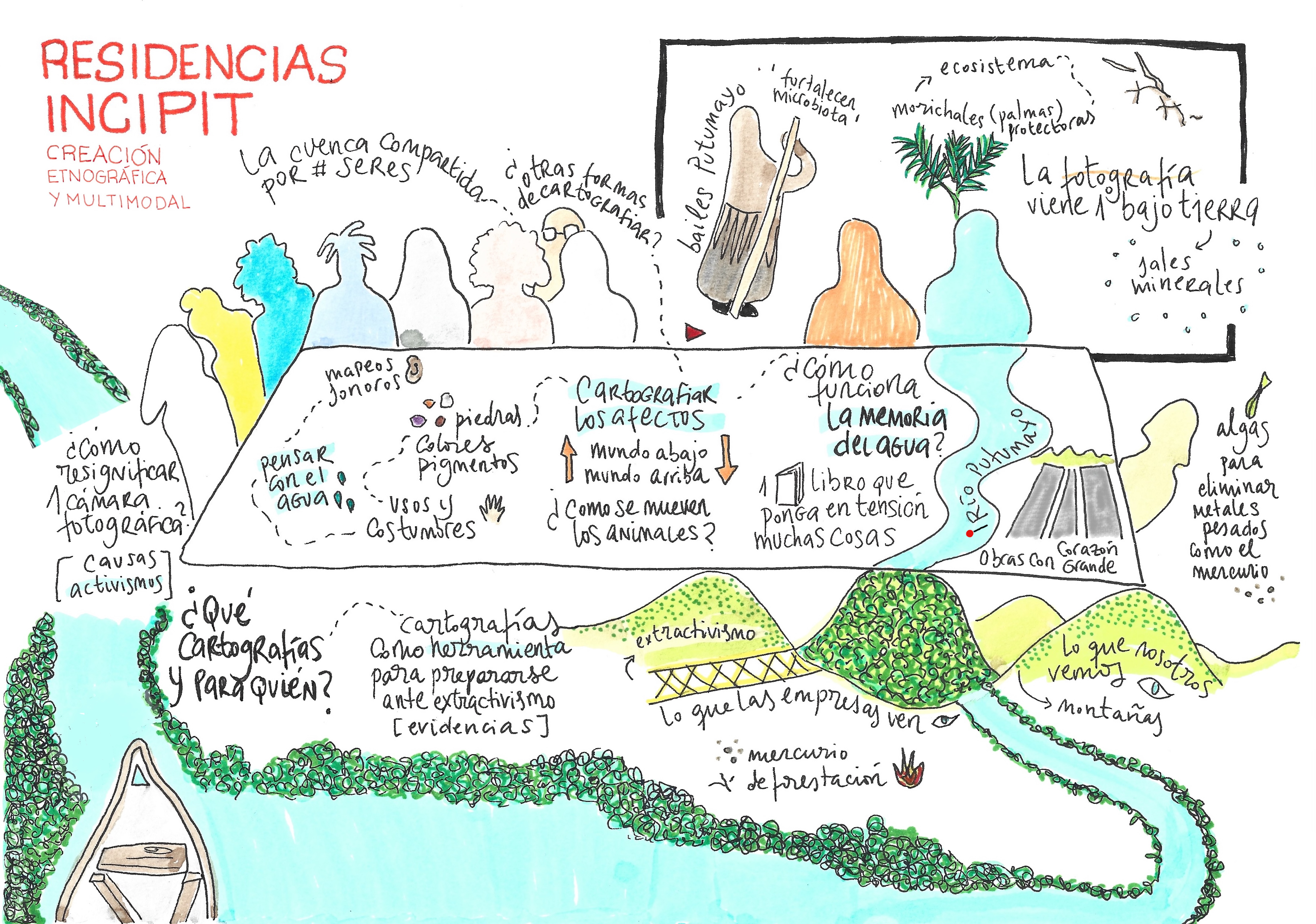 Libro anfibio 2