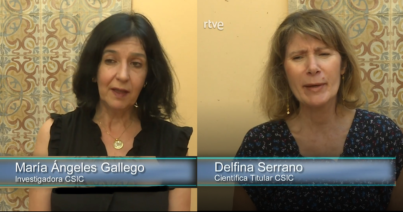 Mari Angeles Gallego y Delfina Serrano (ILC-CSIC)