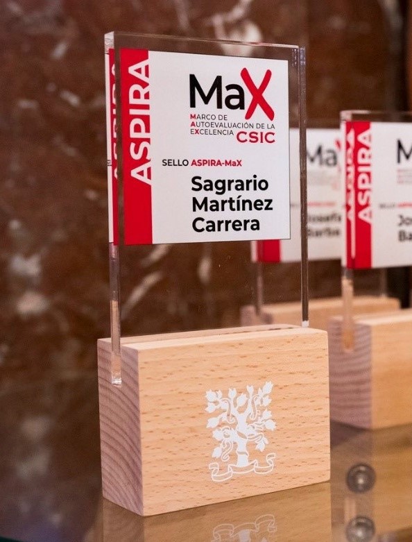 MAX ILC