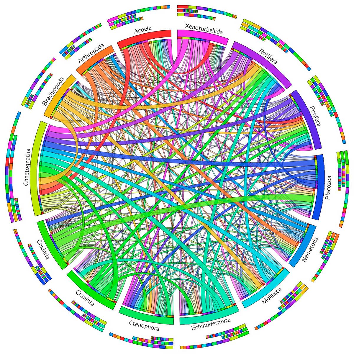 Una nueva red de científicos para afrontar los retos de la biología del futuro