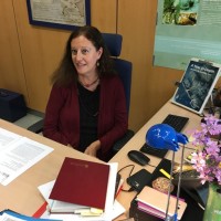 Incógnitas incrustadas en las maderas de los barcos hundidos