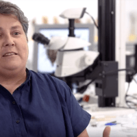 Leonor Peña (IH) abre el ciclo de charlas de la iniciativa de divulgación ‘Las científicas cuentan’