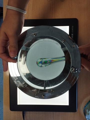 Estudiantes del IES Lagomar participan en Researchers at School