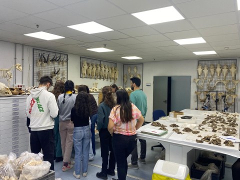 Alumnos del Máster Universitario en Arqueología y Gestión del Patrimonio Arqueológico de la UAH visitan  los laboratorios de I+D del IH