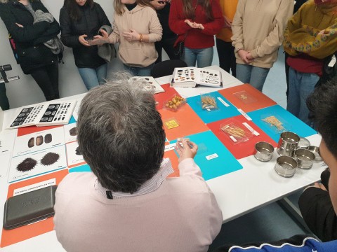 Visita al Laboratorio de arqueobiología y arqueobotánica, del Instituto de Historia