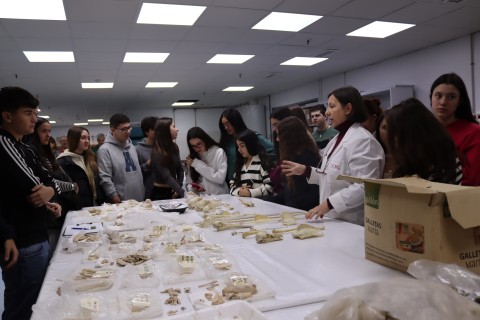 Laboratorio de Arqueobiología