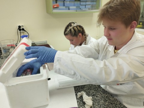 Científic@s en prácticas 2022-2023