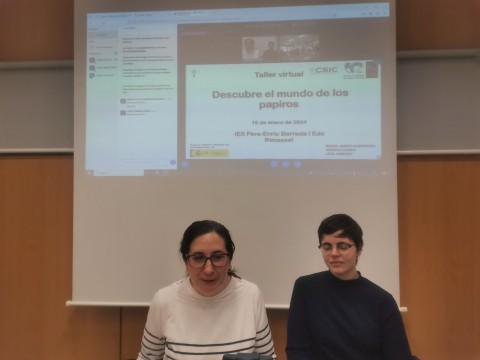 Taller "Descubre el mundo de los papiros"