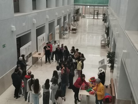 Exposición del Cacao