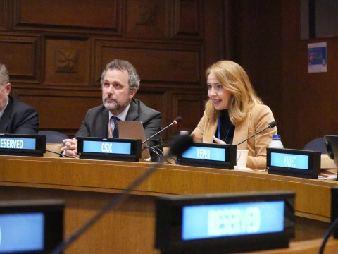 Elea Giménez (ILLA-CSIC) durante su intervención en la ONU