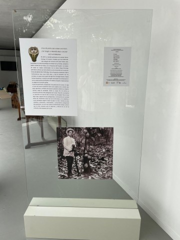 exposición "Una planta de otro mundo. Un viaje a través del cacao ecuatoriano".