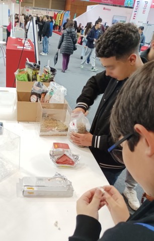 Práctica arqueológica de unos alumnos visitantes