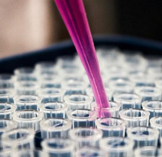 Ciclo de conferencias: Divulgación, comunicación y responsabilidad social en la investigación Universidad Miguel Hernández de Elche.