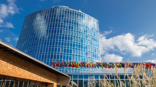 Catalina Martínez (IPP) interviene como ponente en la reunión de la "Organización Mundial de la Propiedad Intelectual sobre reducción de tasas de patentes a universidades"